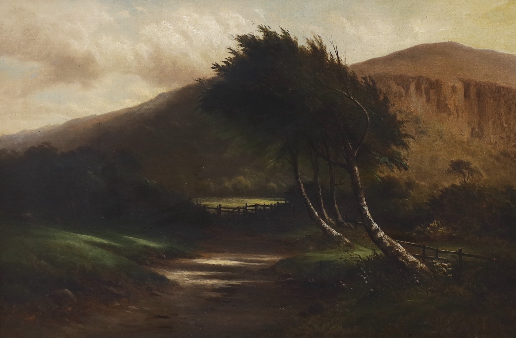 B.T. Wadham, oil on canvas, 'First Light', label verso, 50 x 75cm
